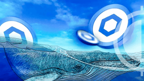 Chainlink Whales Accumulate $77 Million LINK Amid Price Correction – Details