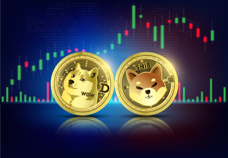 Why Did The Dogecoin And Shiba Inu Prices Surge Over 10%?