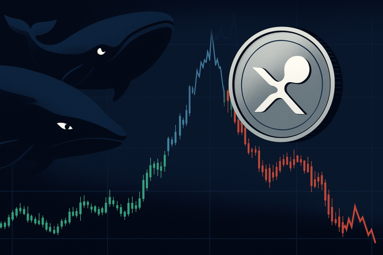 XRP Whales Unload Massive Bags: Distribution Or Trap?