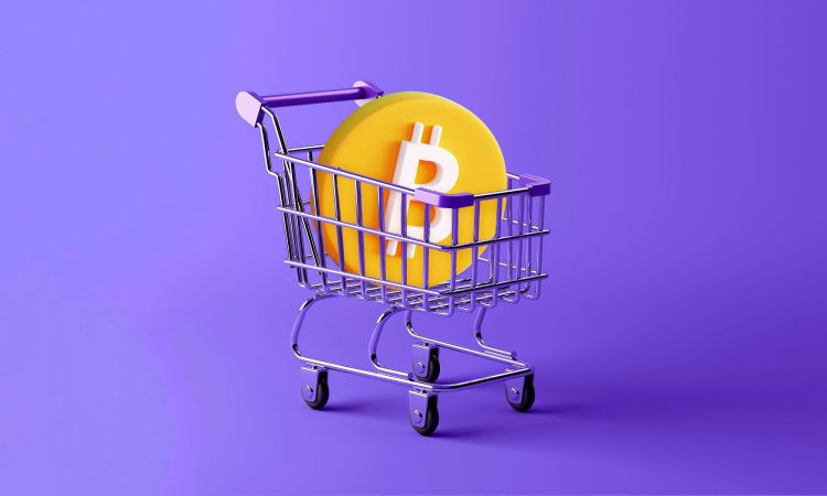 Long-Term Bitcoin Holders Buy $14 Billion In BTC As Retail Headed For The Exit