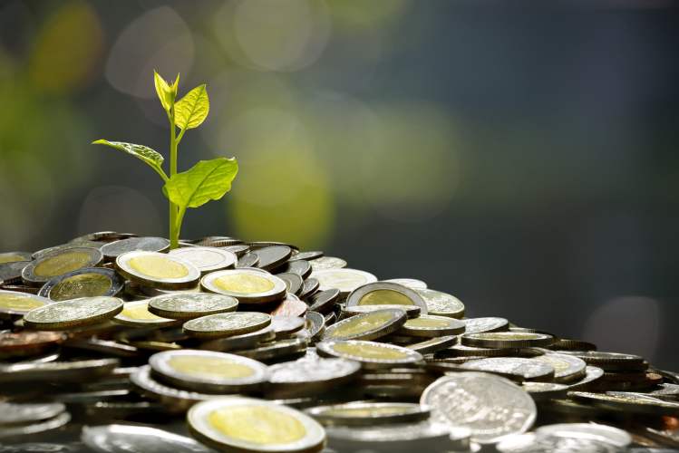 Humanity Protocol Plans New H Token After $36 Million Key Compromise